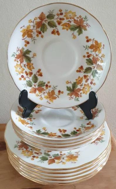 Queen Anne Bone China Saucer and Bread and Butter Plate  -  Autumn Leaves design