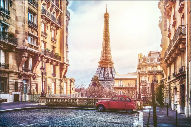 VINYL Fototapete XXL TAPETE Paris Eiffelturm 442