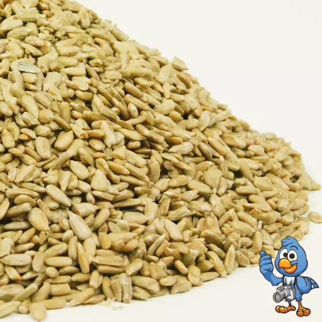 BusyBeaks Sunflower Hearts - Kernels Bird Seed Bakery Grade Food for Wild Birds 3