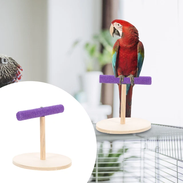 Papageienständer Hölzern Büro Vogelstange Aus Holz Sittich Barsch