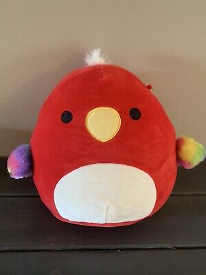 parrot squish mallow