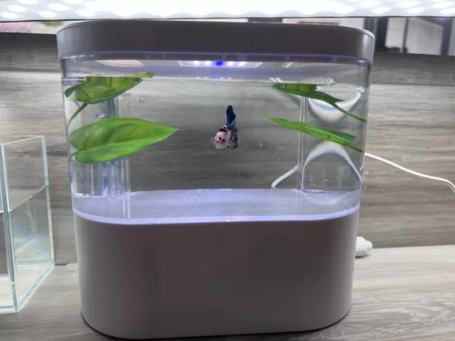 Desktop Fish Tank Mini Aquarium With USB Ports 4 Liters (top and below)  ≈ 1 gal