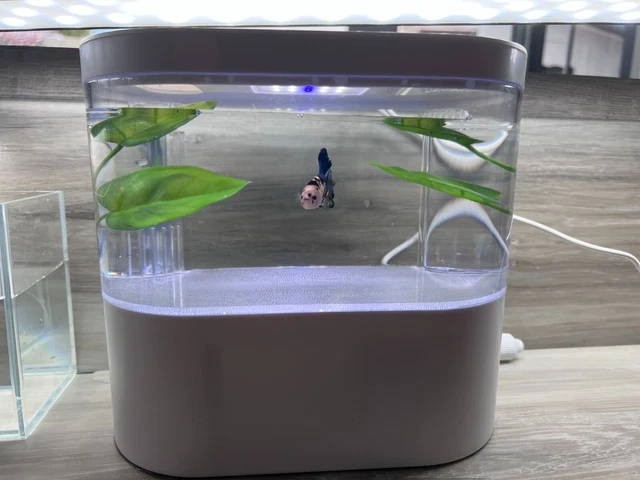 Desktop Fish Tank Mini Aquarium With USB Ports 4 Liters (top and below)  ≈ 1 gal