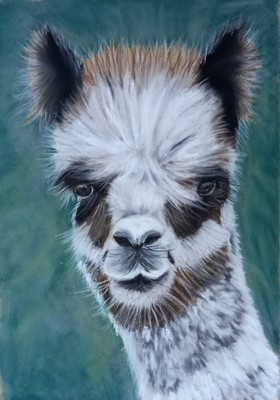 ORIGINALE Dipinto a Pastello-Alpaca 42cm x 35cm incorniciato. 