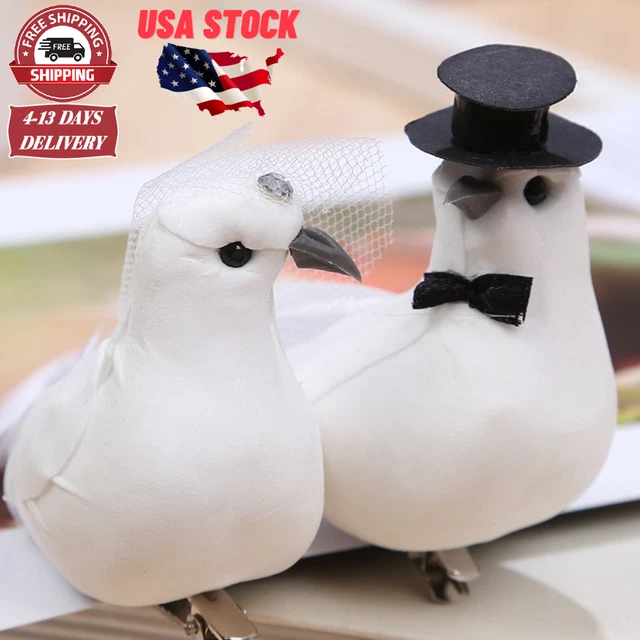 Birds Mushroom Dove White W/Clip Feathers Style Tiny Inch Bird Mixed Wedding Fea