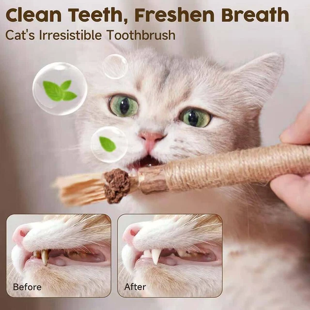 6PCS Catnip Toys Cat Wand Silvervine Sticks Cats Toys For Indoor Chew Cats Toy 2