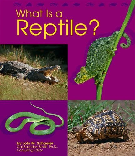 WHAT IS A Reptile? by Schaefer, Lola M. £3.93 - PicClick UK