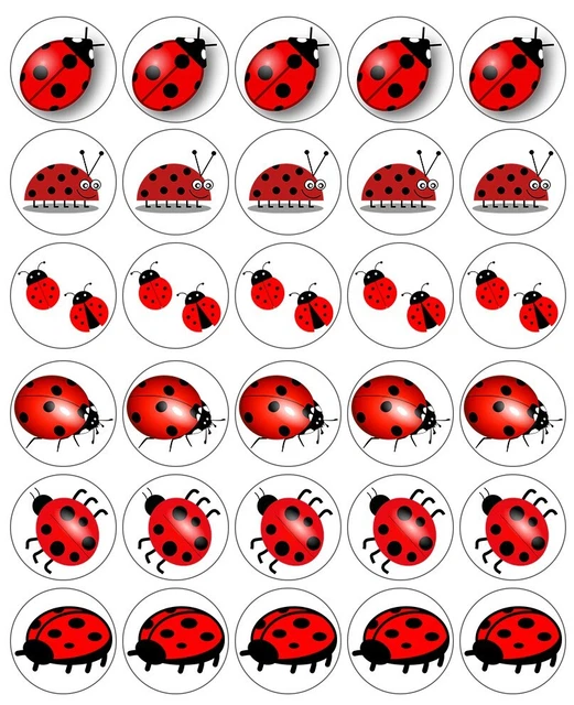 LADYBIRD LADYBUG CARTOON Cupcake Toppers Edible Icing Wafer Decor Bday Party Bug £2.50 - PicClick UK