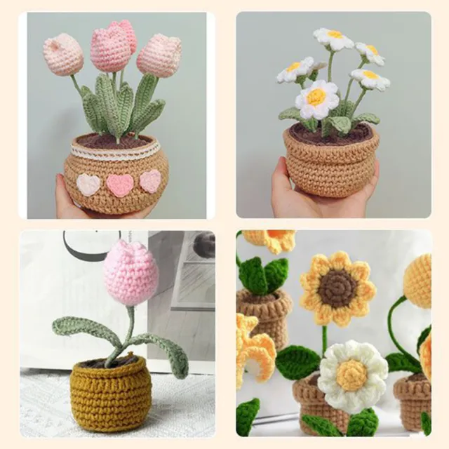 Crochet Starter Kit, Cute Plant Crochet Kit for Beginners, Gift