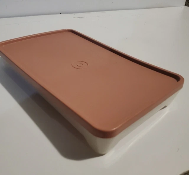 VINTAGE TUPPERWARE PAPRIKA Hot Dog Bacon Keeper Meat Marinade Container