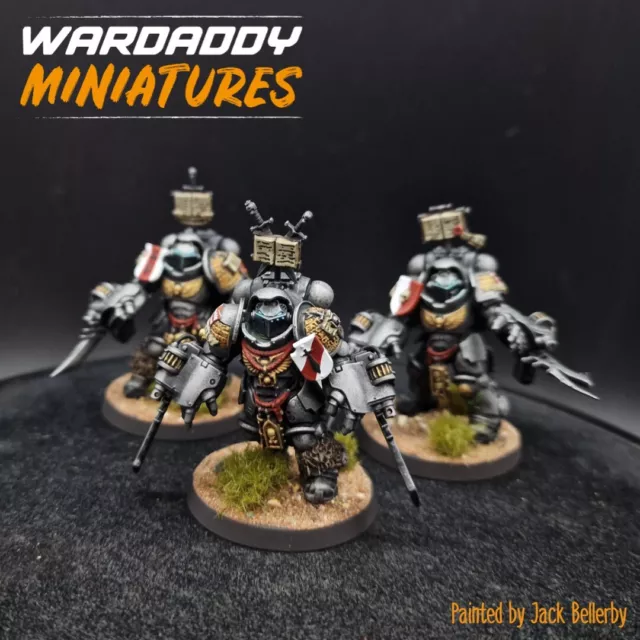 Pro Painted Warhammer 40k grey knights paladins Primaris conversions GW wardaddy