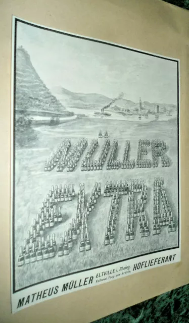 Alte Reklame Werbung Sekt Müller Eltville Kelterei um 1916