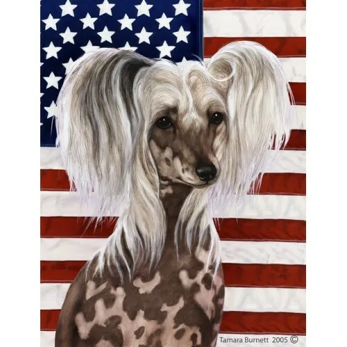 Patriotic (D2) Garden Flag - Chinese Crested 320691