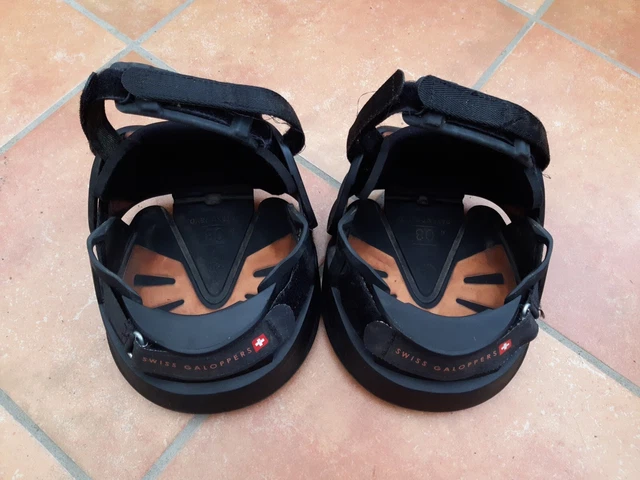 Swiss Galoppers Gr.8