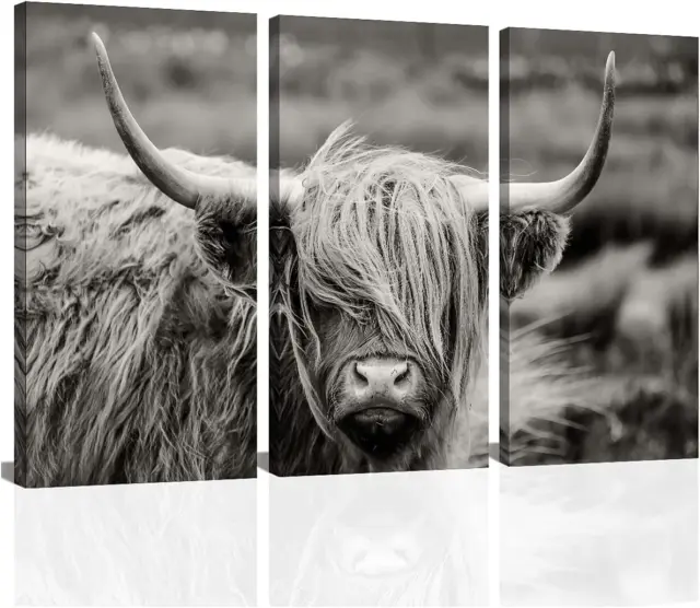 Highland Cow Wall Art, Black and White Landscape, Cow Pictures Wall Decor, Farmh