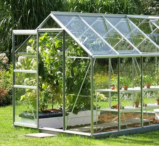 Clear Greenhouse Acrylic Polycarbonate Shed Panes Perspex Glass Plastic Panels