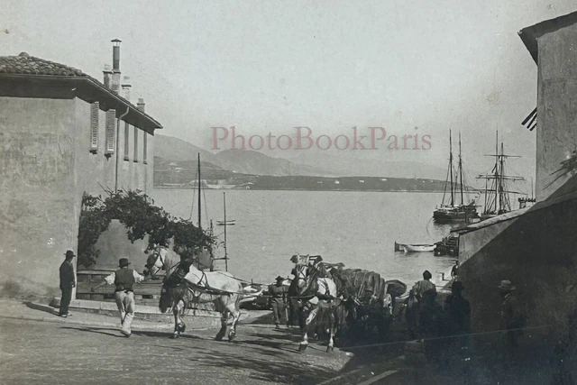 Monaco der Hafen Pferde c1900 Foto Stereo Vintage P78L5n
