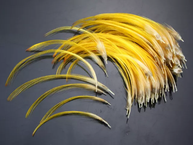 Golden Pheasant Crest Feathers Natural Fly Tying Material,4 sizes,100 per pack