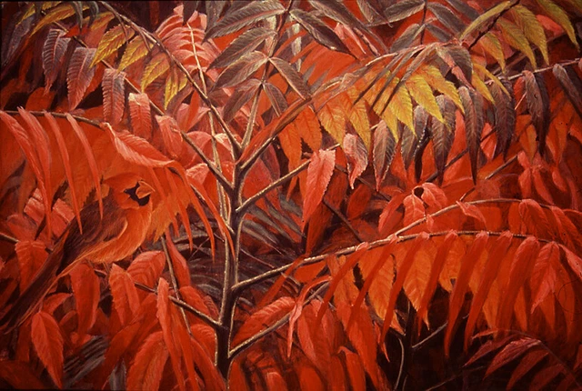 Robert Bateman Cardinal and Sumac Global Edition