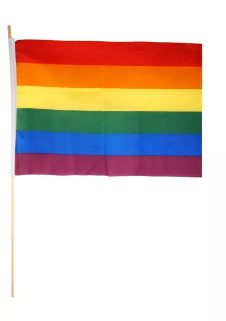 Gay Pride Rainbow Flag Hand LGBT FLAG Carnival Peace Fancy Festival 45 x 30 CM