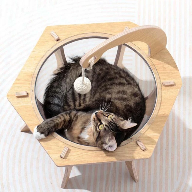 Panier Tressé Coton Pour Chat/Chiot - Diam. 35/40/50 Cm, Tapis Amovible, Lavable, Intérieur/Extérieur - 2