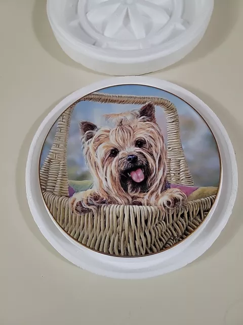 NEW Danbury Mint Yorkshire Terrier Decorative Plate Carry Me Home By Paul Doyle