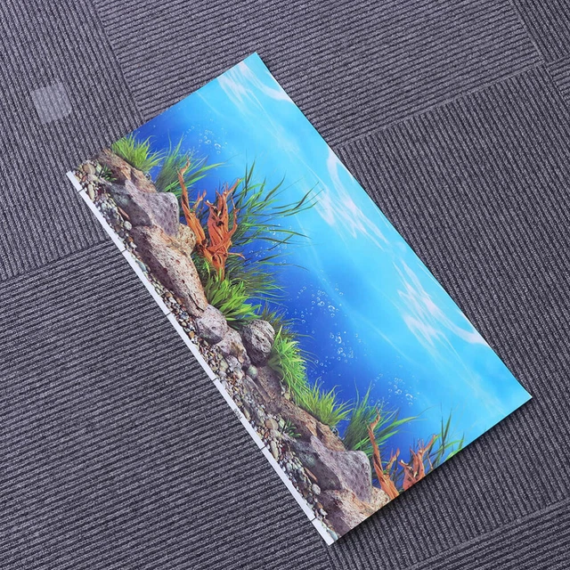 Fish Tank Background Image Fondos De Pantalla 3d Three-dimensional 3