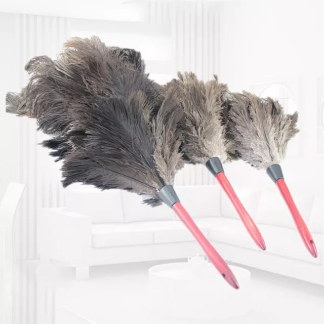 Anti-static Ostrich Feather Wooden Handle Brush Duster Cleaning Tool Cleanin-OY