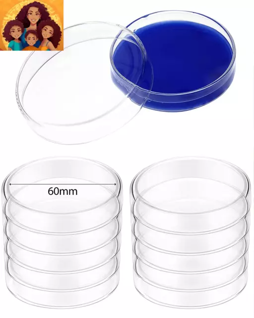 Sterile Glass Petri Dishes Set High Borosilicate Lab Petri Plates with Lids Clea