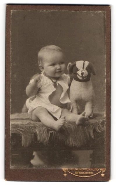 Fotografie Ludwig Mertens, Rendsburg, junger Knabe Karlo mit Stoffhund im Ateli