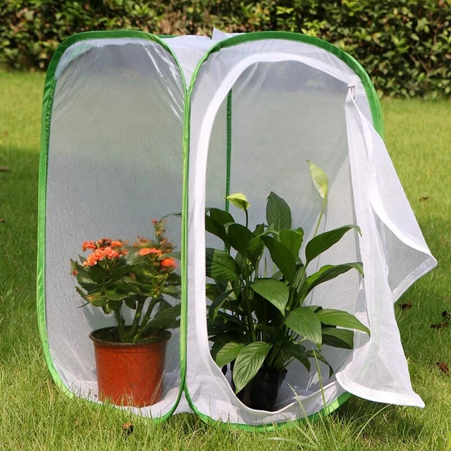 2-Pack Insect and Butterfly Habitat Cage Terrarium - Butterfly Enclosure (2 X T3