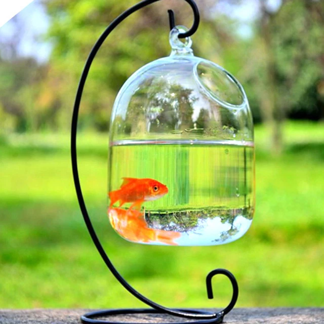 Hanging Fish Tank Transparent Decorative Hanging Vase Fishbowl Practical