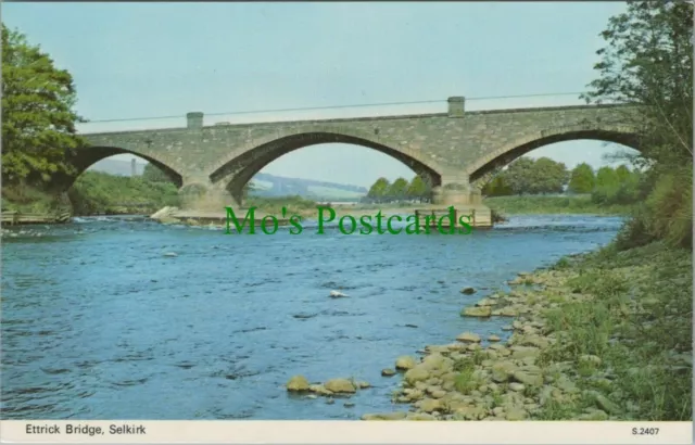 Scotland Postcard - Ettrick Bridge, Selkirk   RS24924