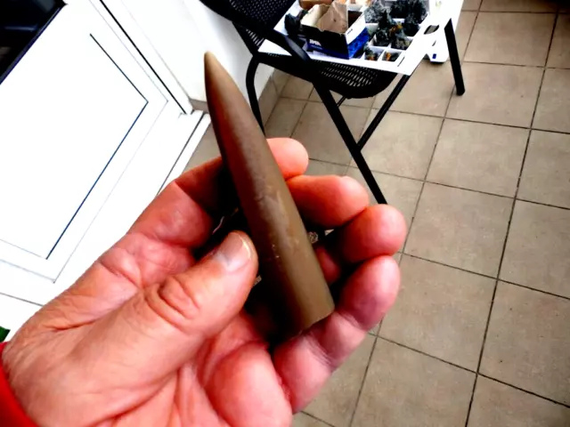 Fosiles Moluscos " Fabuloso Cefalopodo Belemnite De Rusia  -  3A ".