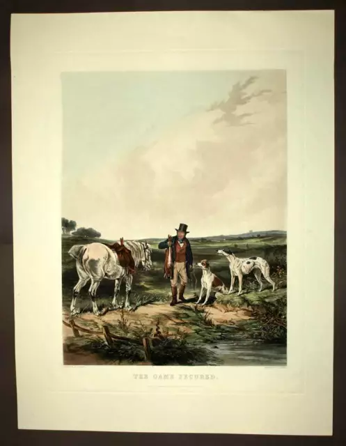 Lithographie estampe CHASSE AU LIEVRE AVEC CHIEN DE RAPPORT 19eme siecle