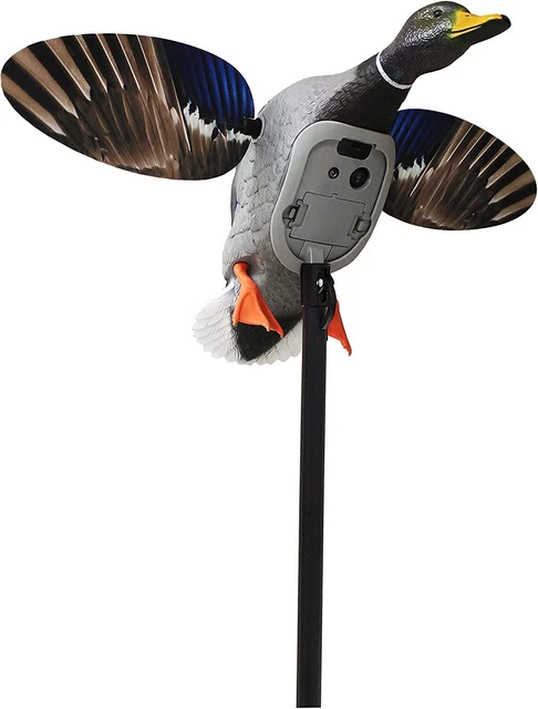 MOJO Elite King Mallard Spinning Wing Duck Decoy for Hunting Lithium Ion