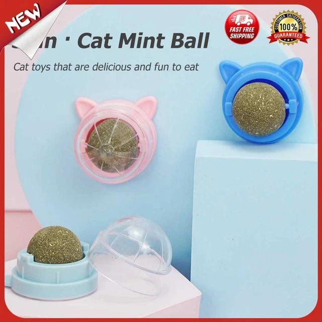 es Rotatable Kitten Candy Lick Snacks Natural Molar Catnip Snack for Teeth Grind
