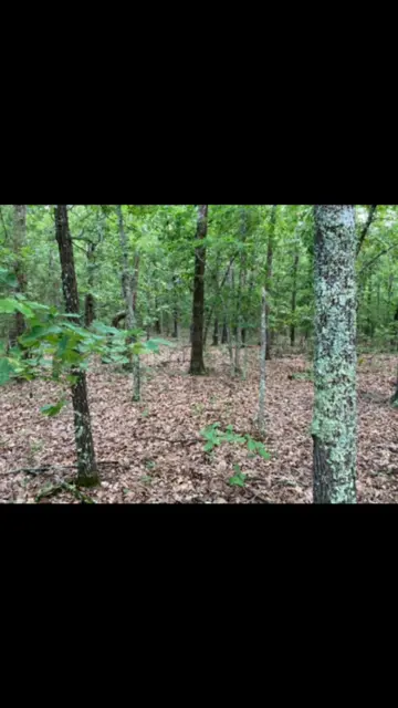 Residential Real Estate - Fulton County AR - .1 Acre - Land Lot - adjoining 2
