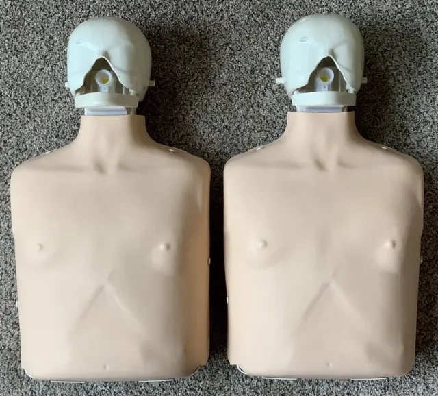 Laerdal Little Anne CPR First Aid Trainer Manikin Adult Torso Nursing EMS w/Bag
