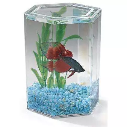 Lee's Betta Hexagon Mini Tank Enclosure for Small Fish 4.8x3.8x5.4 Inches