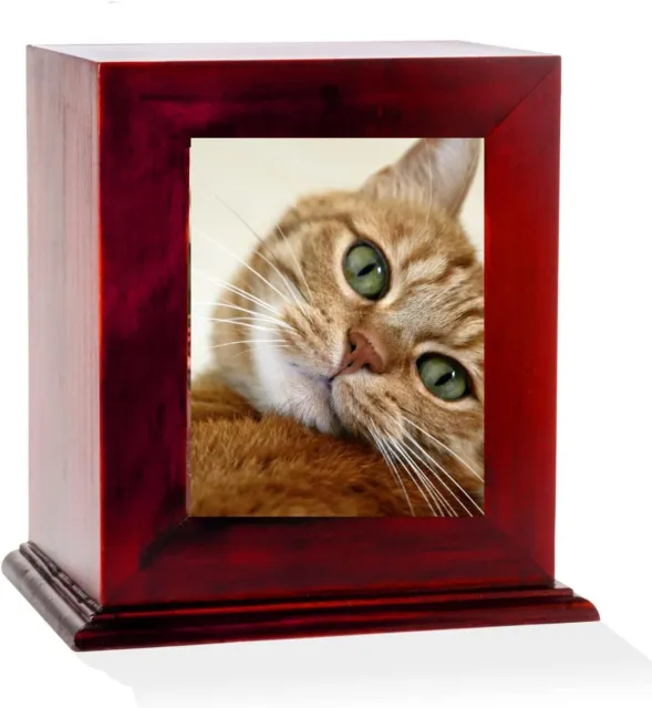PURRFECT POUCH Picture Box Pet Urn for Cats Ashes, Beautiful Wood, Pet Memorial