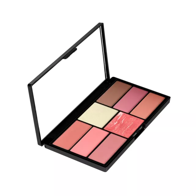 Swiss Beauty Pro Blush & Surligneur Palette Pour Brillant Maquillage (Shade-05)