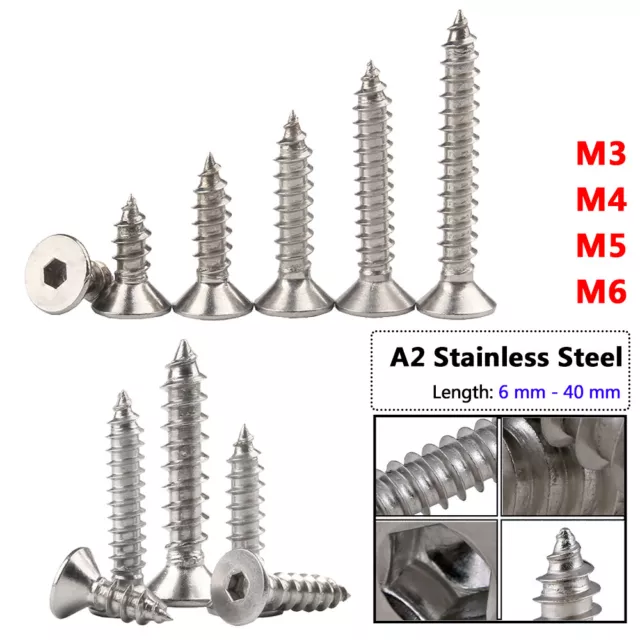 Hex Socket Countersunk Flat Head Self Tapping Wood Screws M3 M4 M6 A2 Stainless