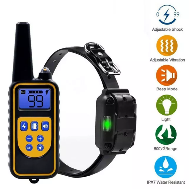 Collier de dressage électrique pour chien télécommandé rechargeable étanche