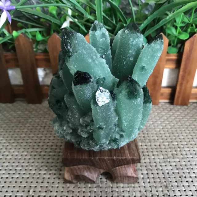 456g New Find Green Phantom Quartz Crystal Cluster Mineral Specimen Healing