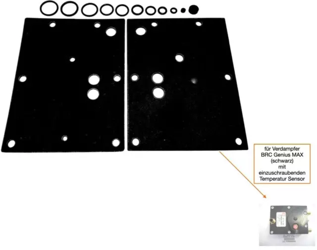 LPG GPL Verdampfer Reparatur Satz  für BRC Verdampfer