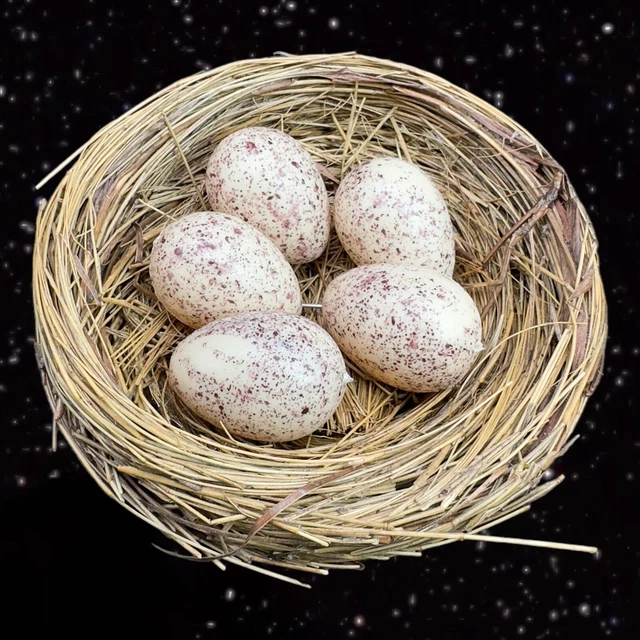 Figural Bird Nest Figurine Decorative 5 Eggs Laying On A Nest Figurine 4”Wide
