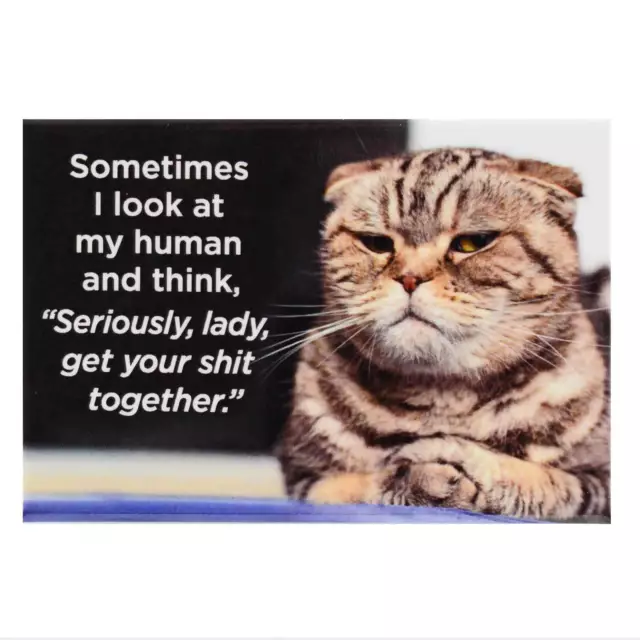 Sometimes I Think Fridge Magnet Funny Cats Decor Retro Novelty Gift Humour