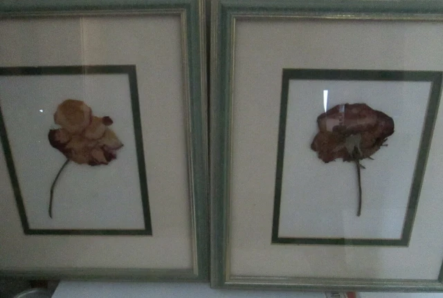 Corniciato fatto a mano vere rose essiccate montate
