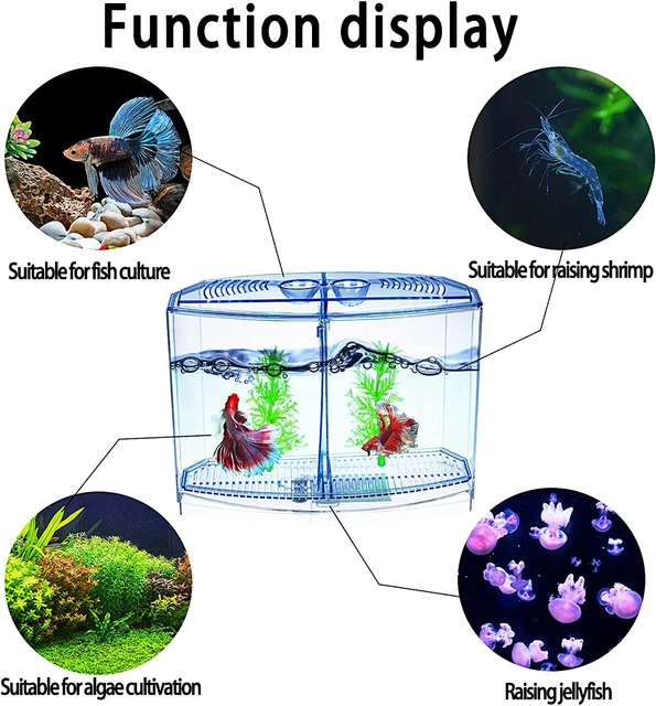 Betta Fish Tank - Mini Betta Bowl Kit Small Aquarium with Divider - 2/5 Gallon - 5